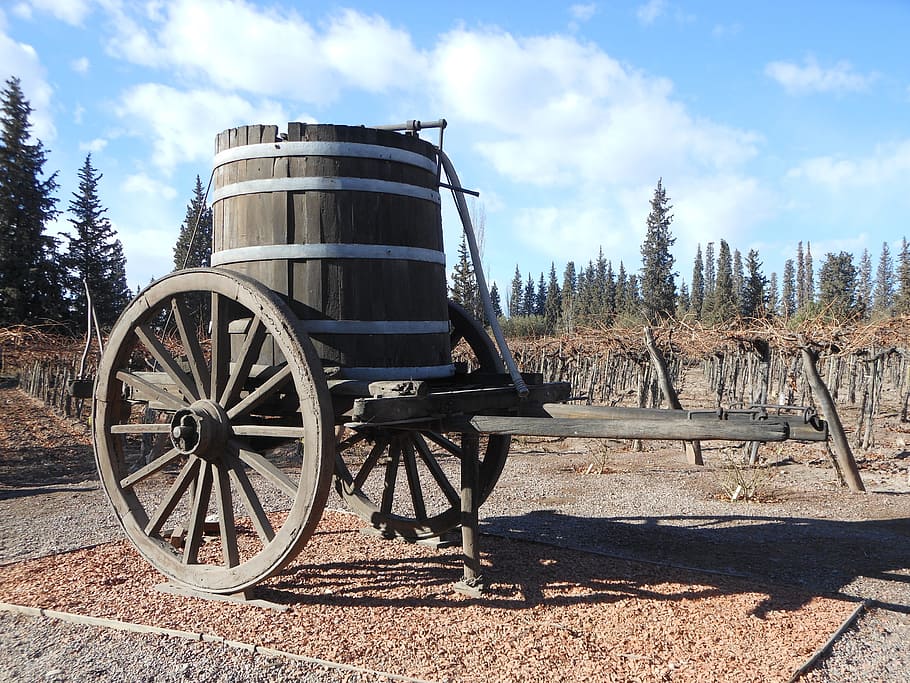 grey wooden trailer with barrel, cask, wine, farm, winery, vineyards HD wallpaper