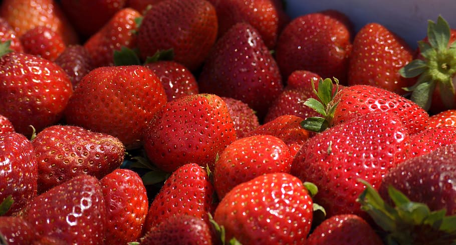 Strawberries, Fruit, Food, red, strawberry, sale, fresh, organic, HD wallpaper