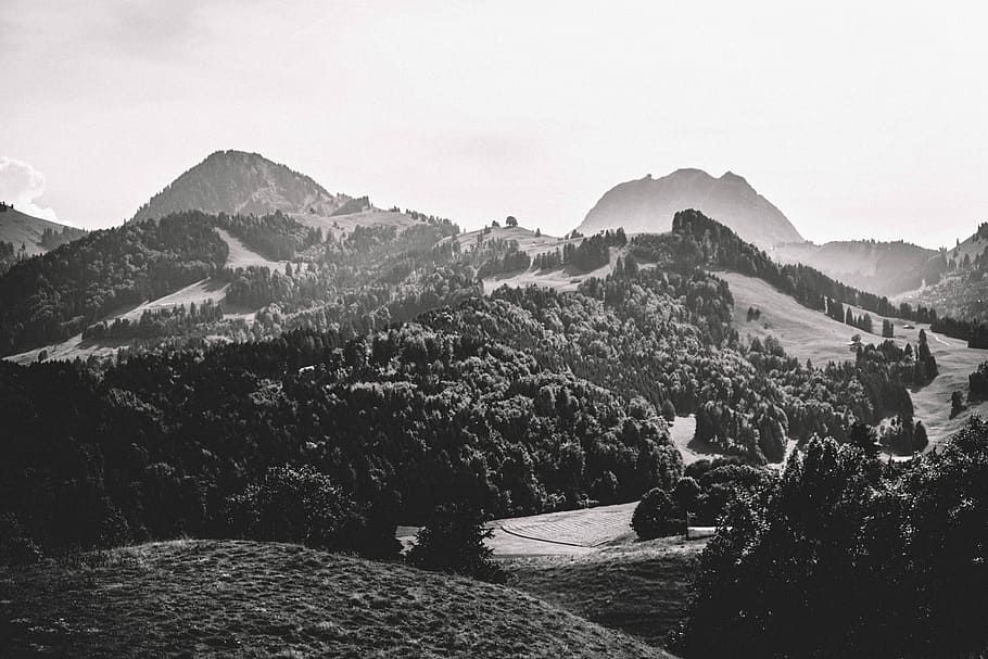Exploring the Swiss Alps, grayscale photo of trees, mountain HD wallpaper