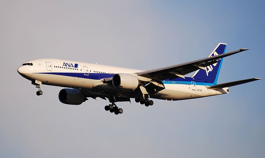 white and blue Ana airline in midair, boeing 777, all nippon airways
