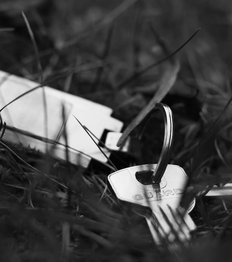 key, grass, nature, ground, beauty, life, admiration, fantasy HD wallpaper