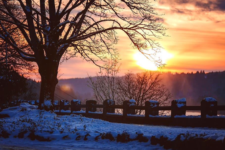 cold, snow, light, dawn, backlit, daylight, dusk, oregon, outdoors HD wallpaper