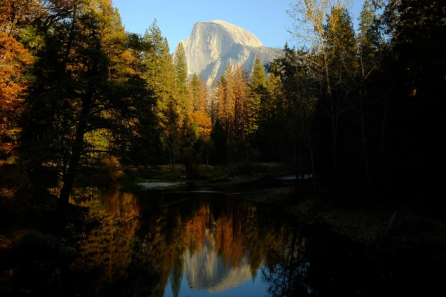 still body of water surrounded by trees near mountain, photo of calm body of water beside pine trees HD wallpaper