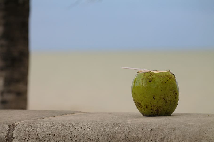 coco, beach, rest, holidays, relax, heat, refresh, water, fruit HD wallpaper