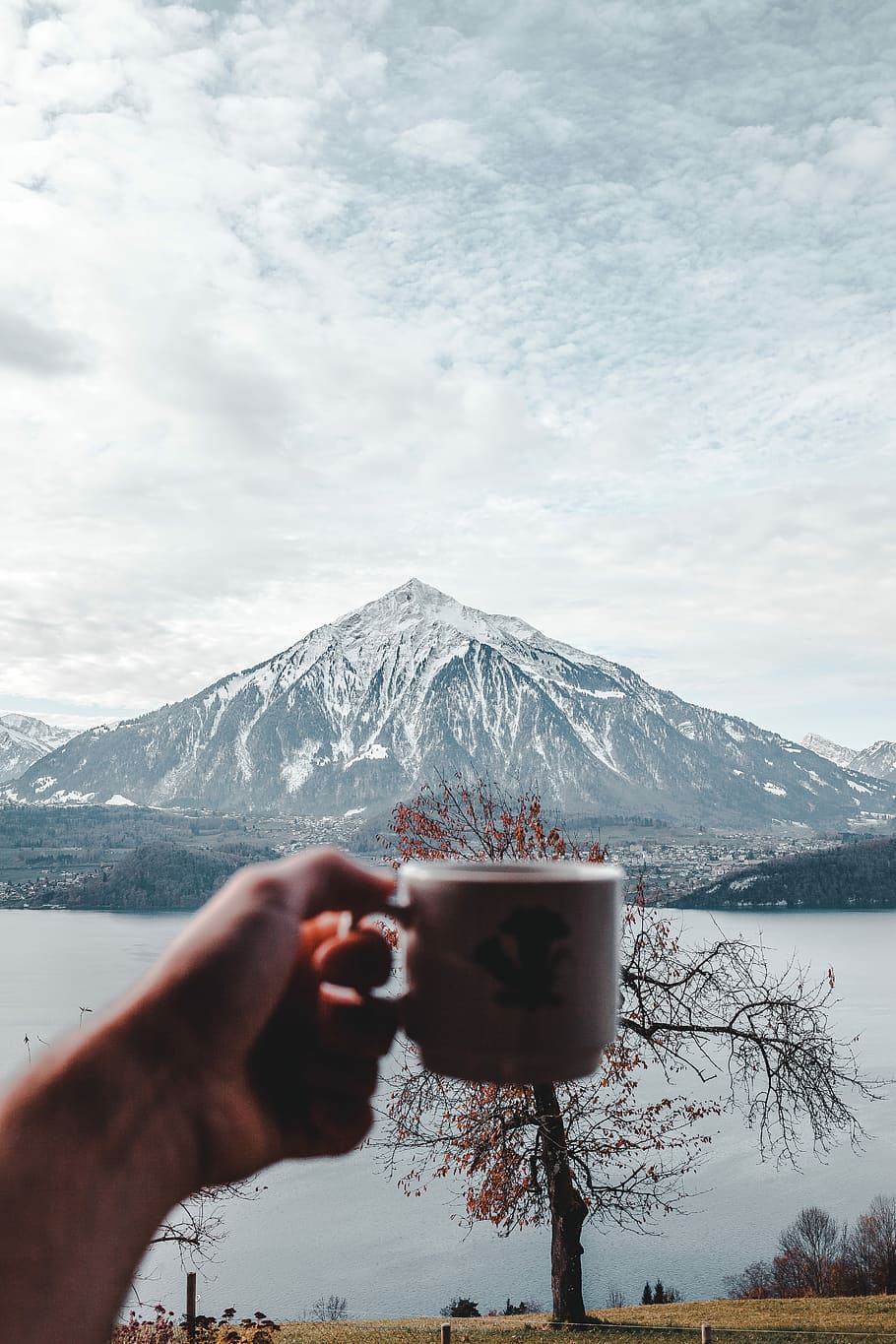 person holding white ceramic mug, mountain, snow, winter, cup HD wallpaper