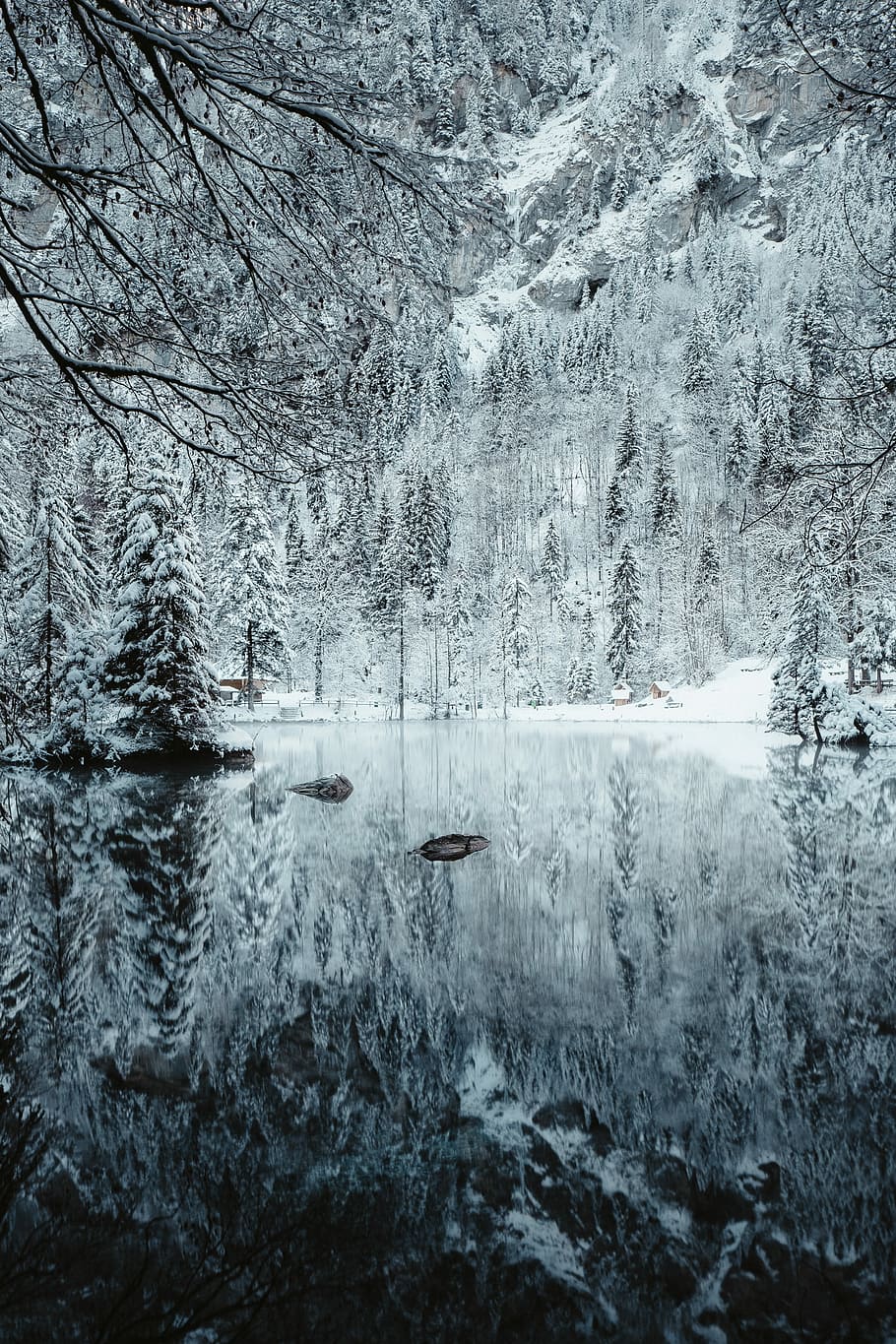 snow covered river and trees, untitled, ice, lake, forest, water HD wallpaper