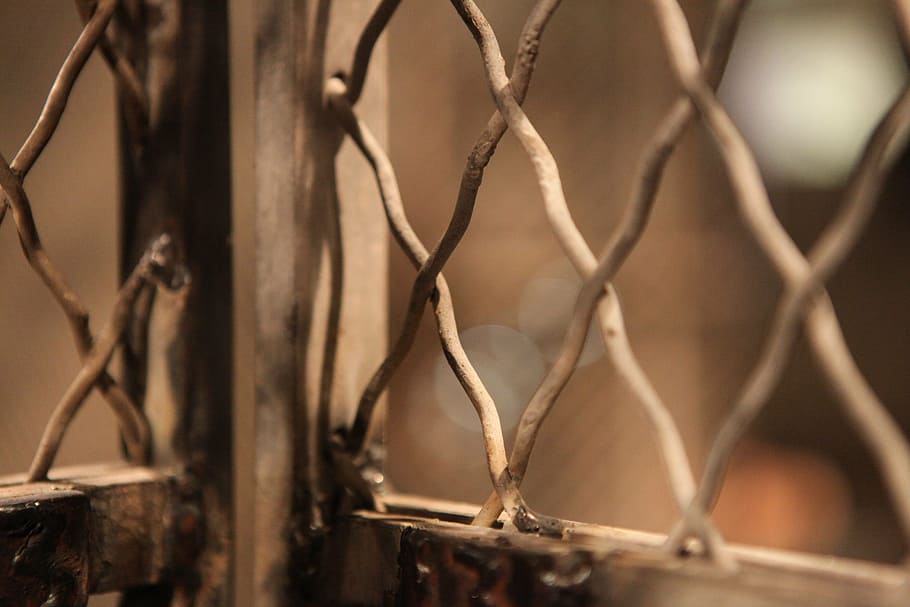 selective focus photography of metal fence], grid, mood, depression HD wallpaper