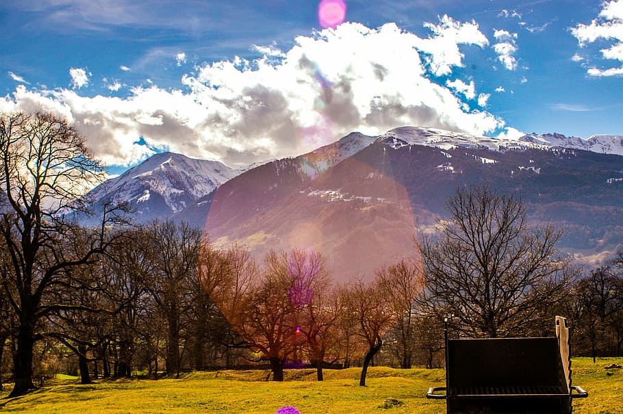 landscape photography of bare trees and mountain, withered HD wallpaper