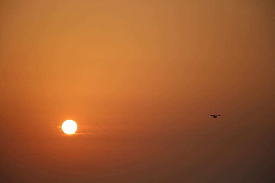 sunset, dusk, dawn, sky, silhouette, flying, airplane, beauty in nature HD wallpaper