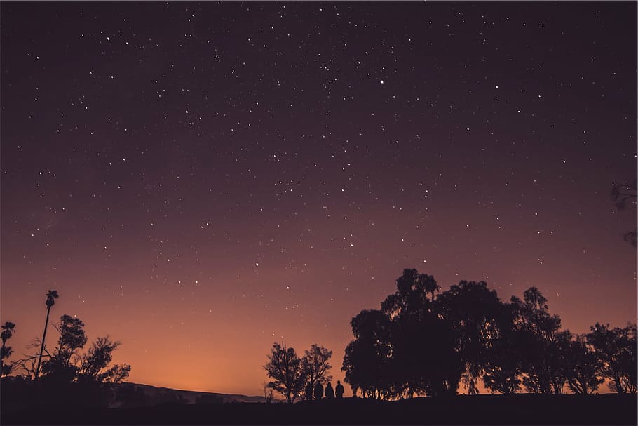 silhouette of trees under starry sky, photo, tress, night, stars HD wallpaper