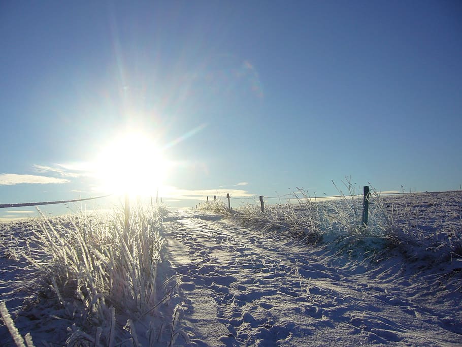 Winter, Sun, Back Light, Mood, nature, sky, no People, outdoors HD wallpaper