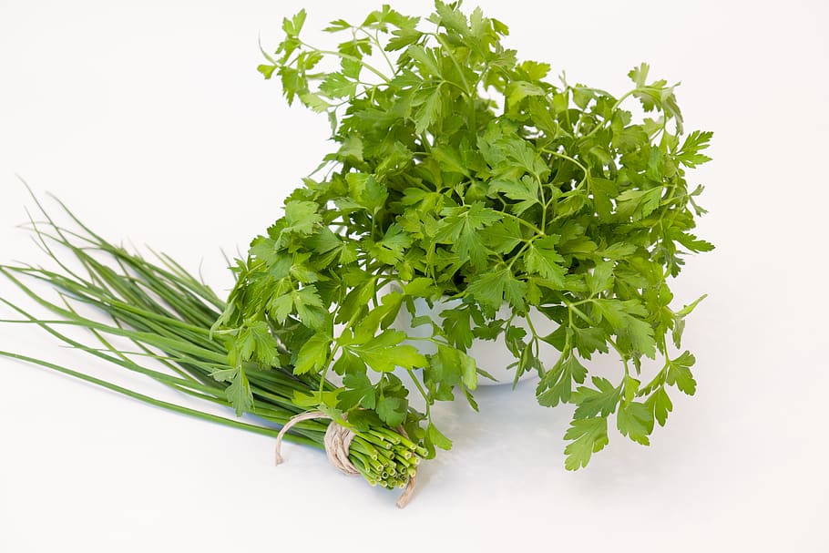 culinary herbs, chives, parsley, plant, food, green, food and drink, HD wallpaper