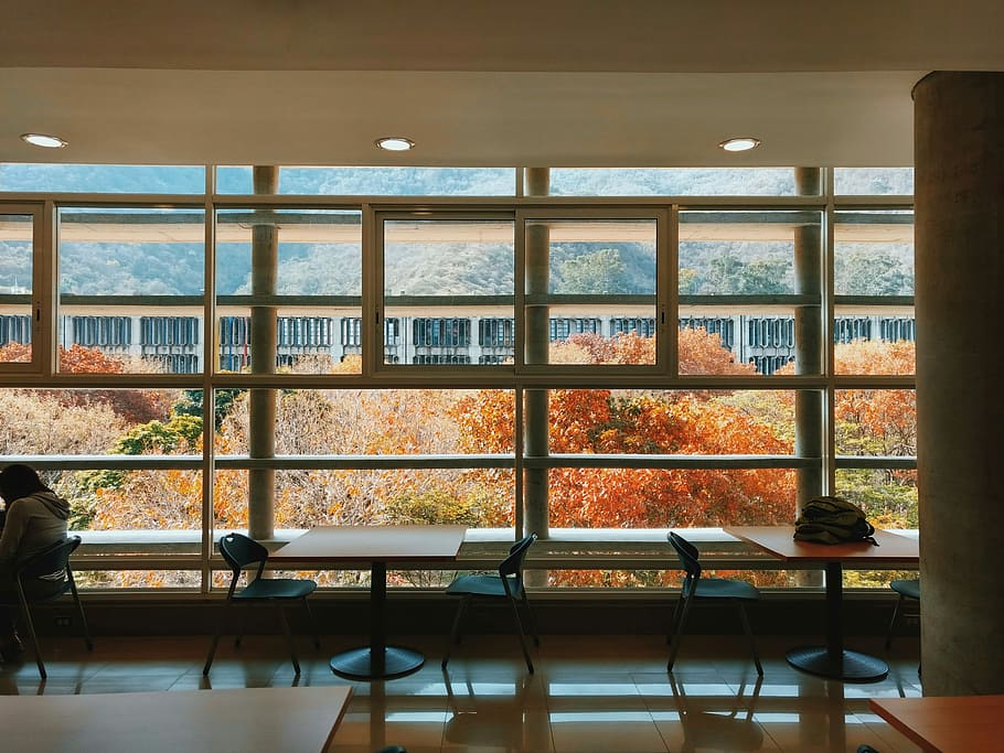 Caribbean Fall, empty brown wooden table, window, chair, person HD wallpaper
