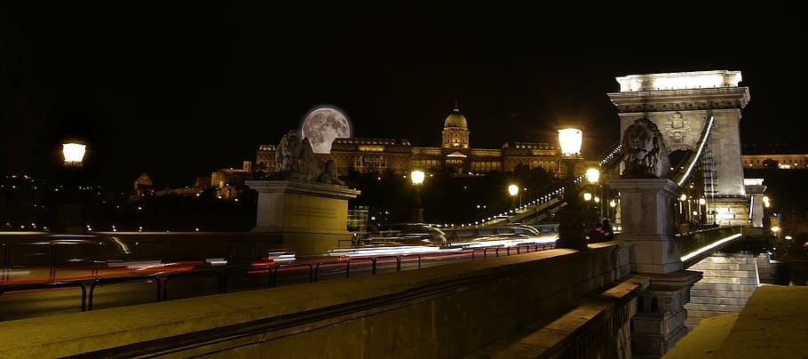 hungary, budapest, chain bridge, lights, castle, bridges, lion HD wallpaper