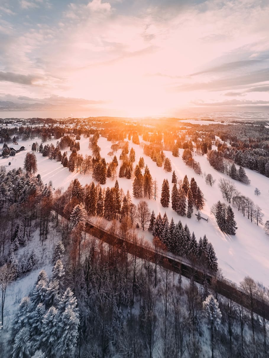 snow covered mountain during sunset, aerial view of snow covered trees HD wallpaper