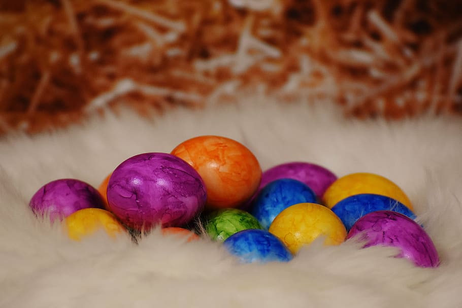colored eggs in white nest closeup photo, easter, easter eggs HD wallpaper