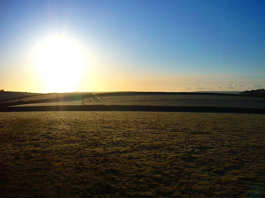 Countryside, View, Devon, Sun, Landscape, outdoor, summer, rural HD wallpaper