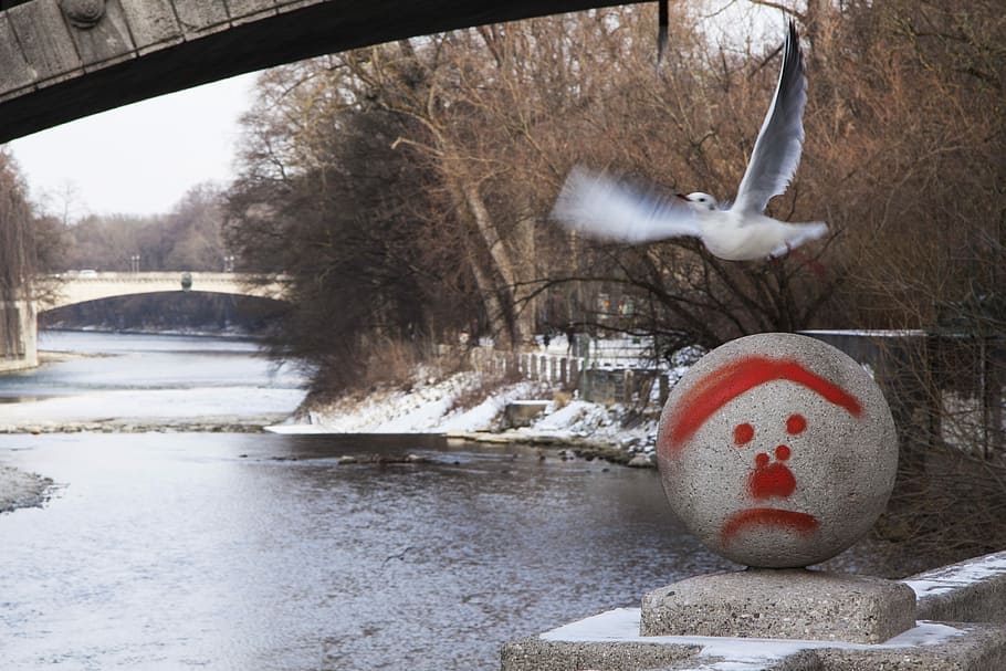 Seagull, Bird, Nature, River, Flight, wing beat, bridges, stone ball HD wallpaper