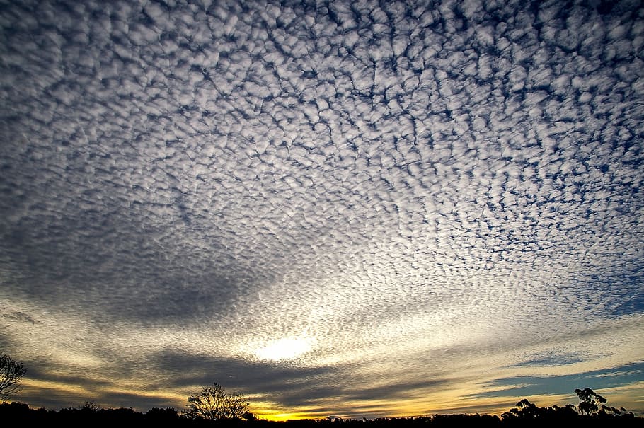 blue and white cloudy sky during sunset, clouds, pattern, horizon HD wallpaper