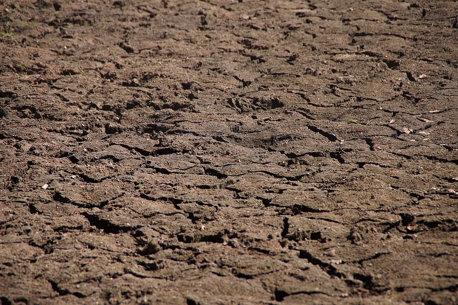 earth, ground, dehydrated, drought, dry, nature, cracked, landscape HD wallpaper