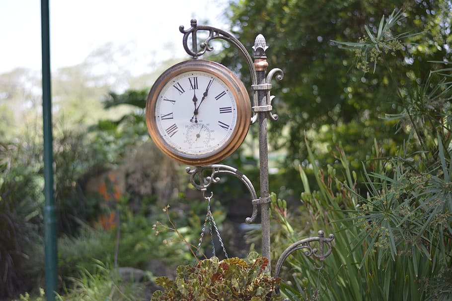 time, outdoors, clock, antique, plant, focus on foreground HD wallpaper