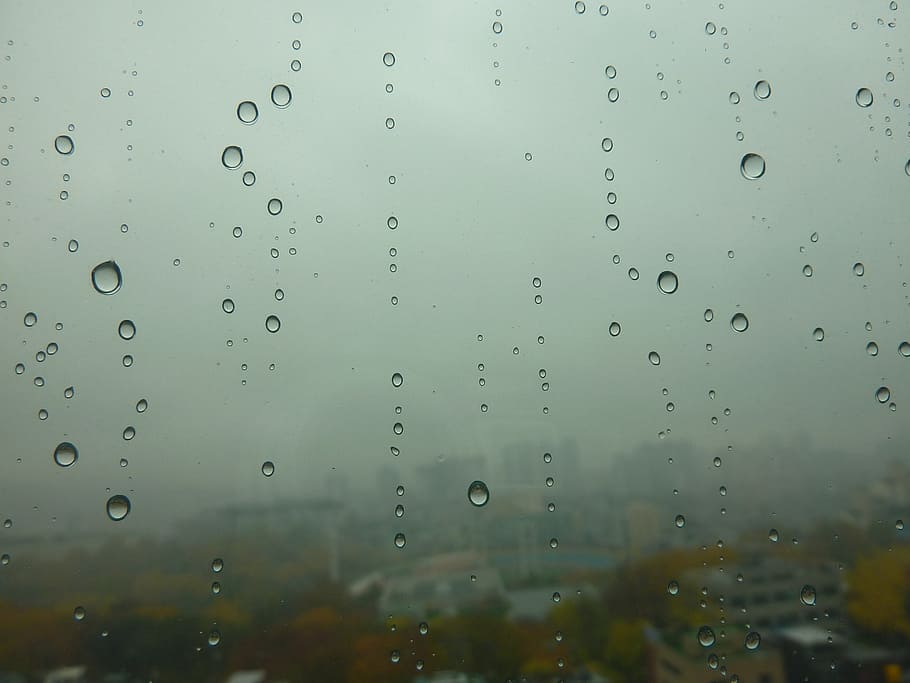trickle, non, window, shower, summer, drop, wet, water, transparent HD wallpaper