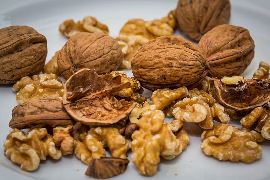 closeup photo of wall nuts on plate, walnut, walnuts, fruit bowl