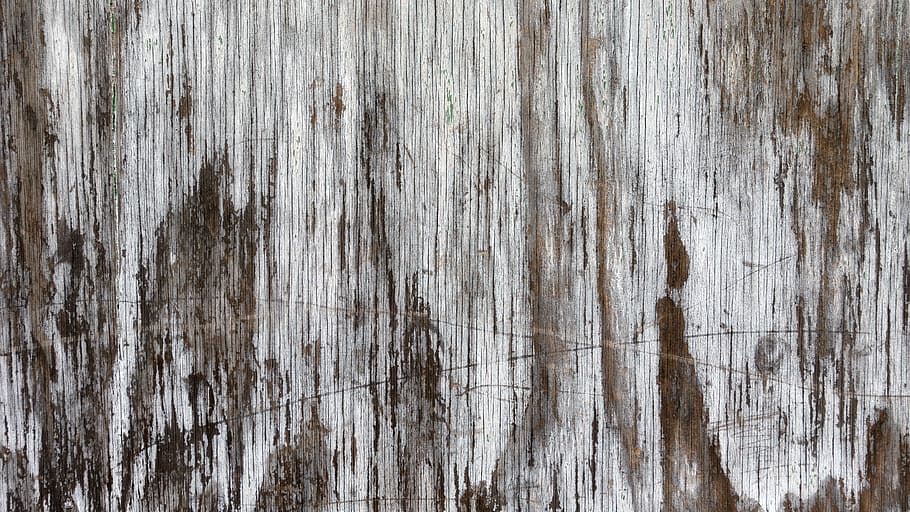 brown and white abstract painting, background, texture, wood HD wallpaper