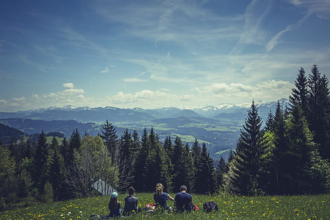 four people having picnic on forest, more, destination, view HD wallpaper