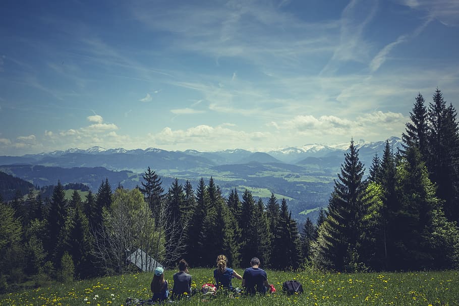 four people having picnic on forest, more, destination, view HD wallpaper