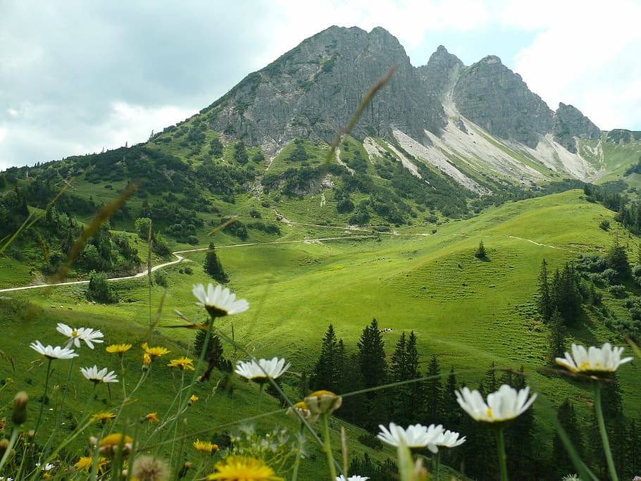 mountains, panorama, hiking, experience, wide, sun, sunshine HD wallpaper