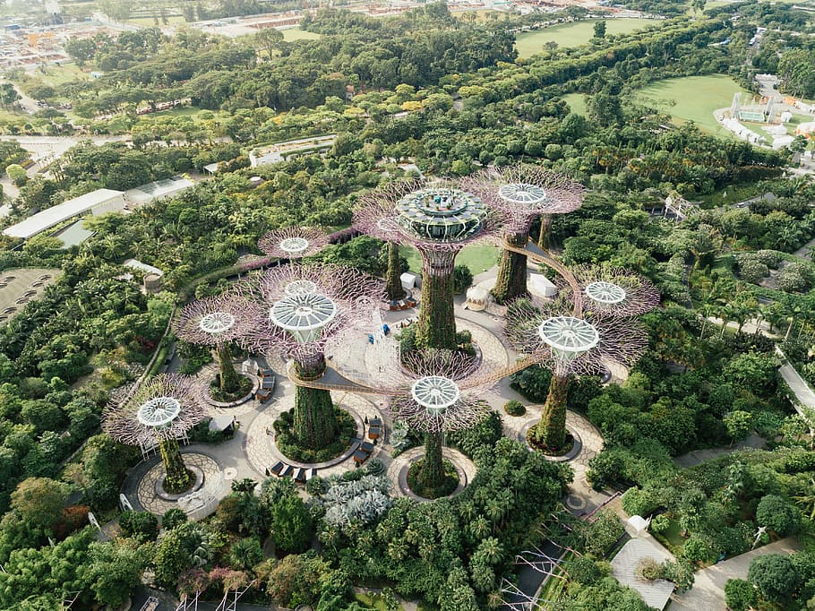aerial view of forest during day time, bird's-eye of view of Gardens by the Bay HD wallpaper