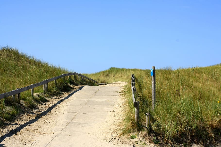 dune, beach, north sea, sky, clear sky, land, direction, grass HD wallpaper