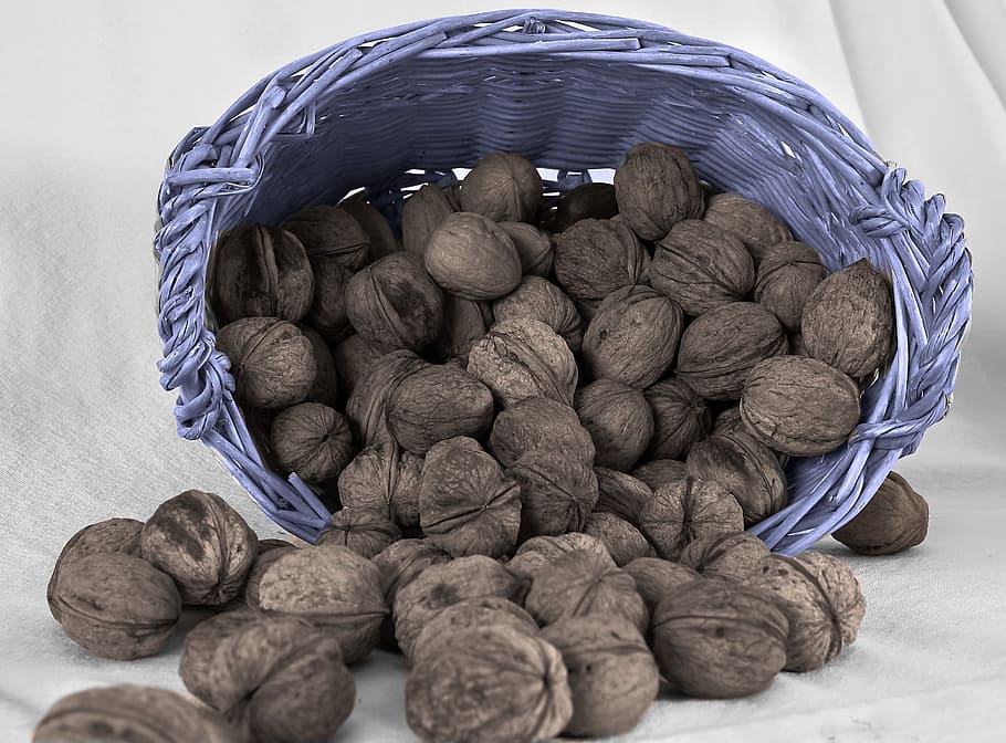 nuts, basket, brown, food, food and drink, still life, large group of objects HD wallpaper