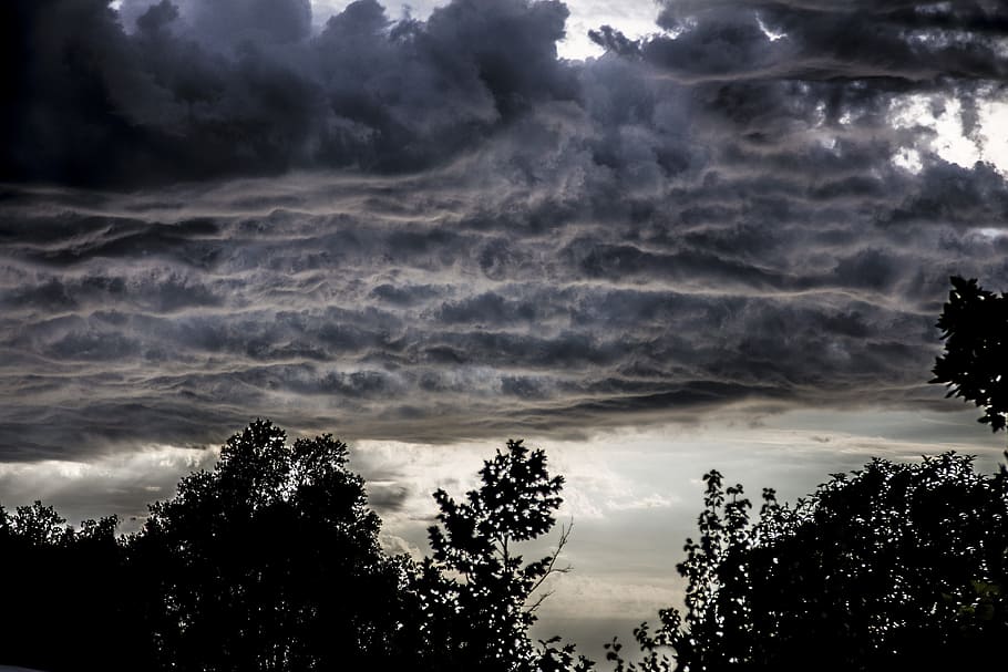 clouds, rain, air, nature, nice, view, blue, branch, branches HD wallpaper