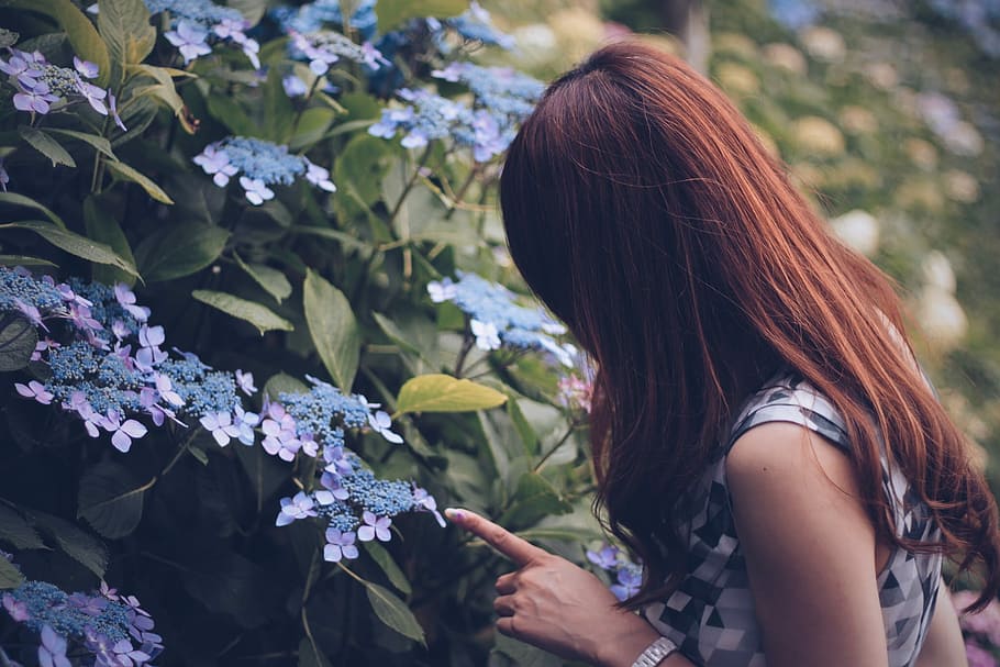 woman picking up flowers during daylight, women, nature, outdoors HD wallpaper