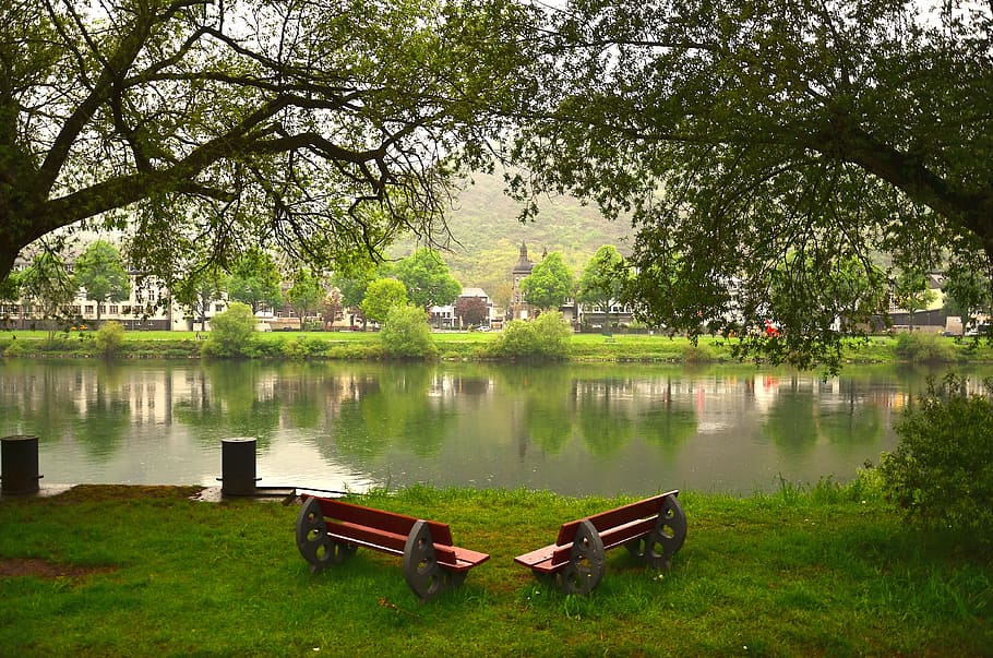 tree, grass, nature, park, summer, lake, outdoors, reflection HD wallpaper