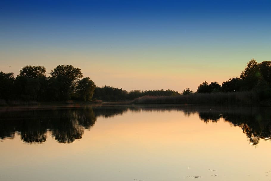 sunset, lake, forest, trees, nature, romance, abendstimmung HD wallpaper
