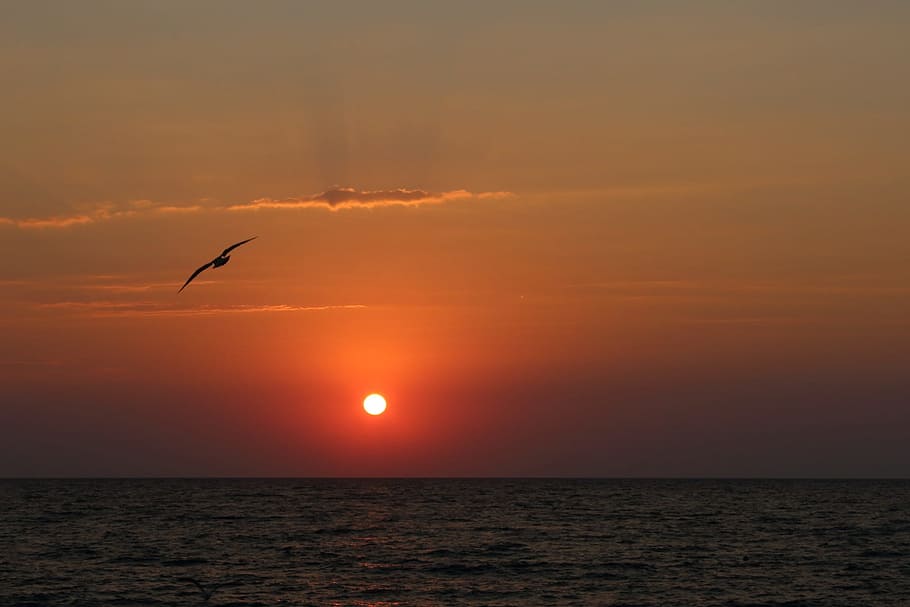 sunset, dawn, evening, sea, water, twilight, sky, silhouette HD wallpaper