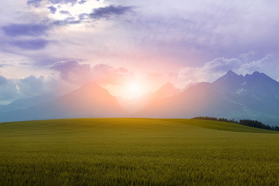 green lawn grass during sunset, green grass, file, summer, mountains HD wallpaper