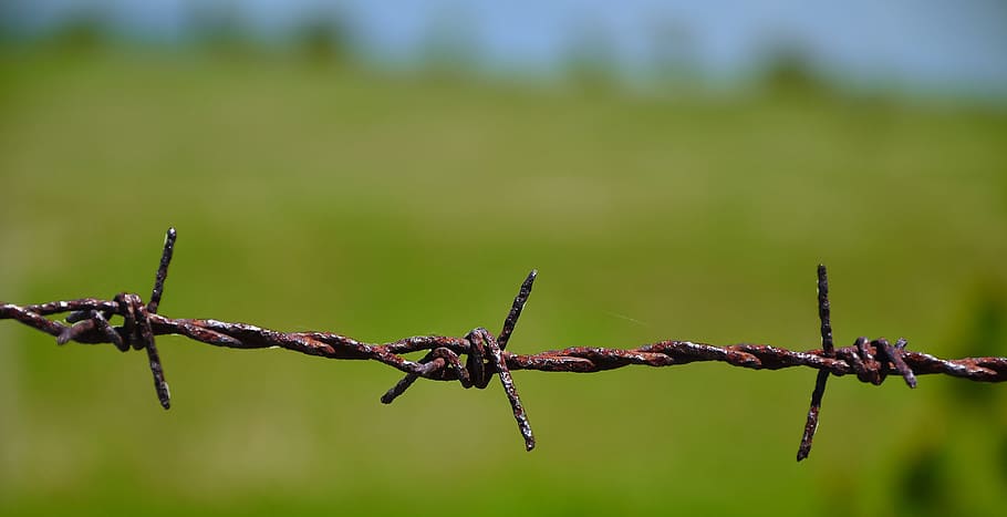 Wire, Knitting, Landscape, Rust, wireview, barbed wire, focus on foreground HD wallpaper
