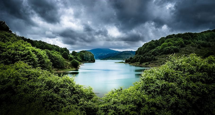 body of water surrounded with trees, lake, forest, nature, clouds HD wallpaper