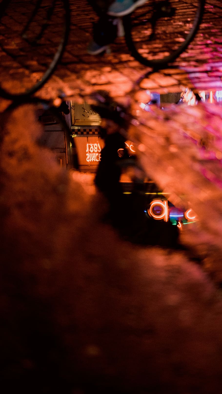 person riding by bike on road, selective focus photography of reflection of neon lights on puddle of water on road HD wallpaper