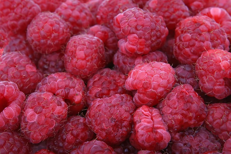 HD wallpaper: red raspberries, background, berry, bitter, blackberry ...