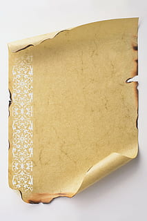 brown scroll paper, certificate, document, probative value HD wallpaper