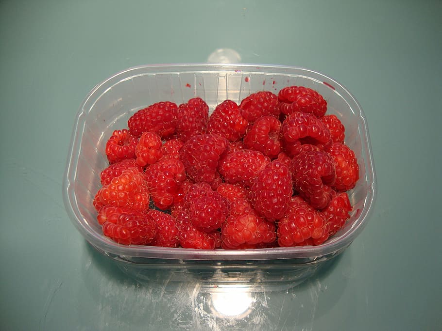 raspberry, food, nutrition, food and drink, red, healthy eating HD wallpaper