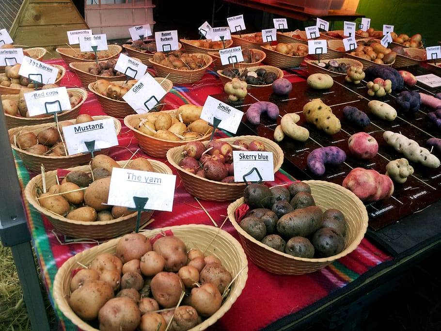 modern kitchen, gourmet, potatoes, food, market, products, fruit