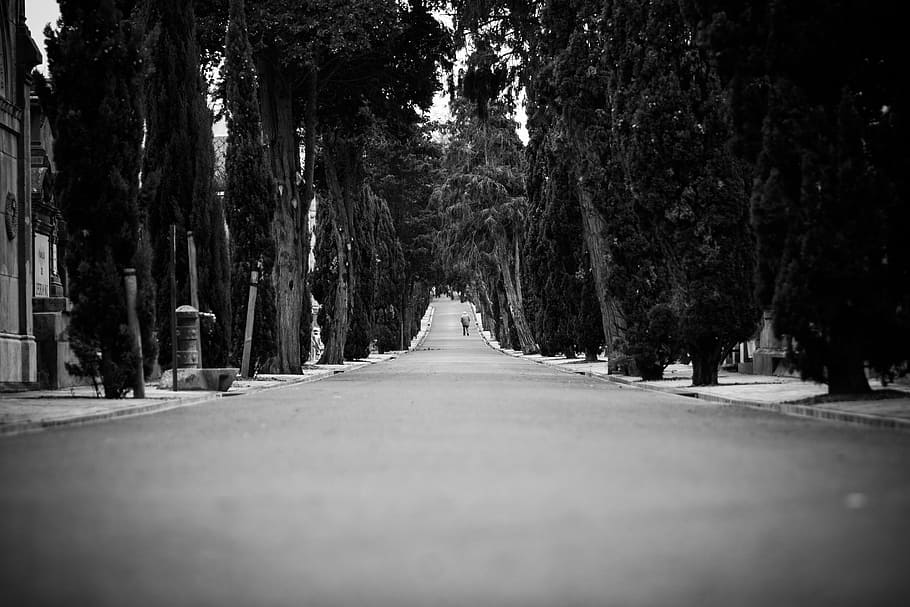 greyscale photo of empty street, road, lonely, neighbor, neighborhood, HD wallpaper