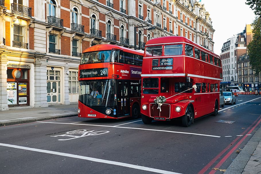 landscape photography of two double decker bus on road, red bus