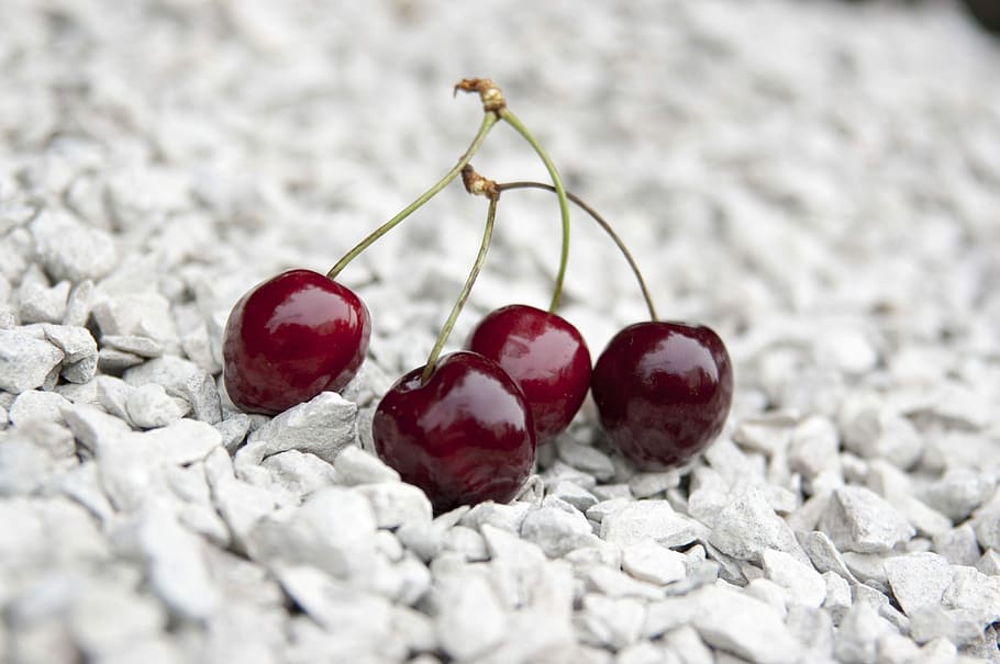 Cherry, Limestone, Red, Berries, red berries, close-up, fruit HD wallpaper